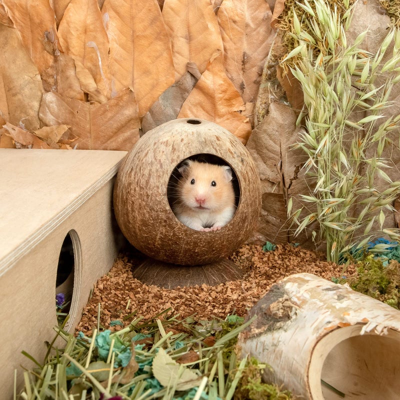 andwe Coconut Hut Hamster House Bed for Gerbils Mice Small Animal Cage Habitat Decor - Image 5